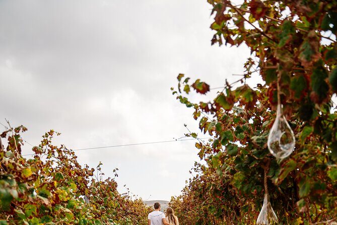Heraklion Private Half-Day Gastronomy Diaries Experience in Lyrarakis Winery - Who this tour fits best (and who might want something else)