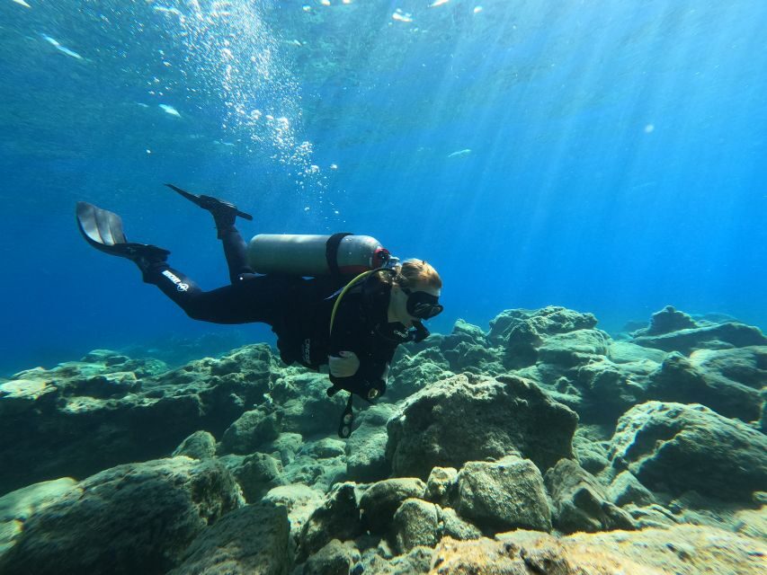 Heraklion: Try Scuba Diving For Beginners (1 dive) - What You’ll See in Crete’s Clear Water (and Why It’s Beginner-Friendly)