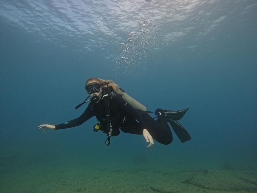 Heraklion: Try Scuba Diving For Beginners (1 dive) - Price and Value: Is $116 Fair for a First Underwater Session?