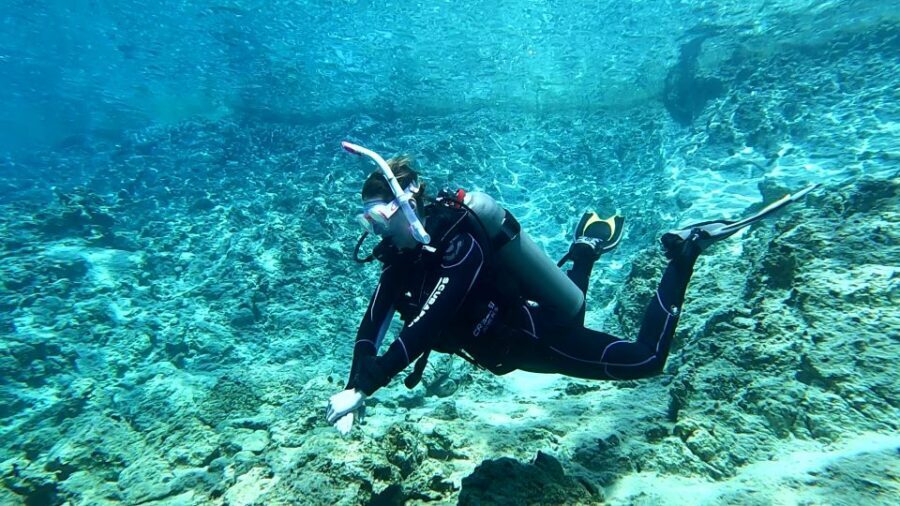 Heraklion: Try Scuba Diving For Beginners (1 dive) - Who This Works Best For (and Who Should Skip It)