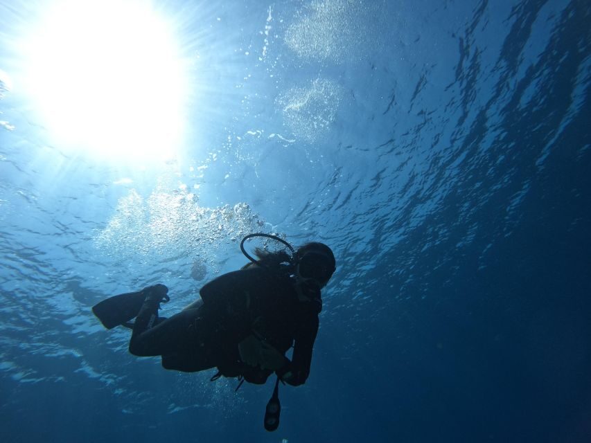 Heraklion: Try Scuba Diving For Beginners (1 dive) - Shallow-Water Skills First: How the Lesson Keeps You Safe