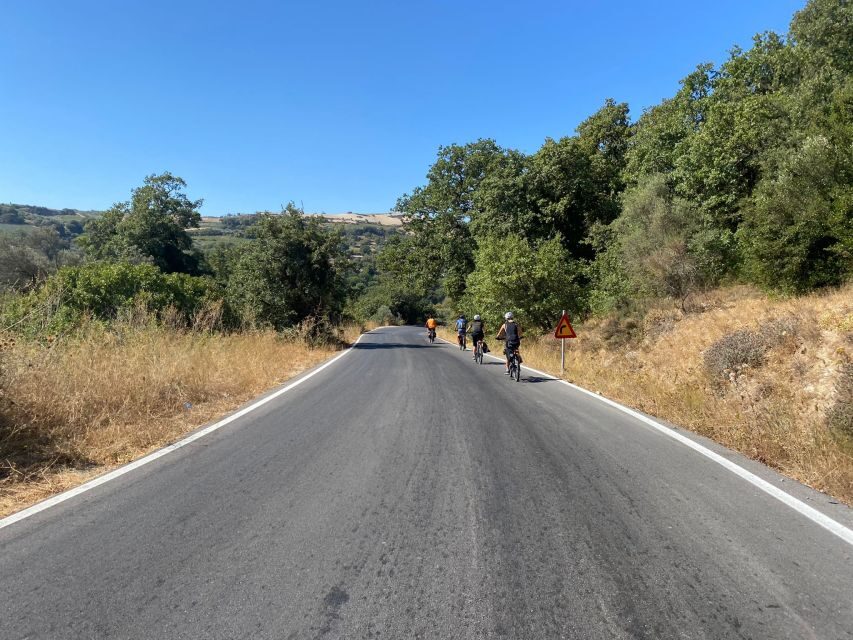 Heraklion: Wine Tasting E-Bike Tour - Village-by-village: Gournes, Athanati, and the almost-uninhabited Xirolia