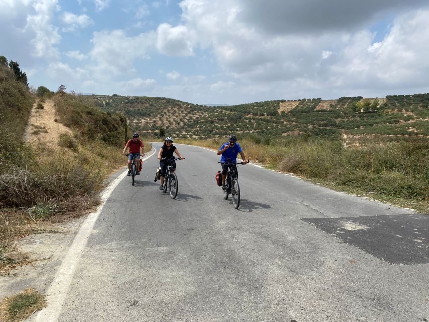 Heraklion: Wine Tasting E-Bike Tour - Aris as your guide: small group energy and lots of question time
