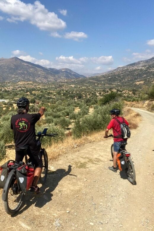 Heraklion: Wine Tasting E-Bike Tour - E-bikes, hills, and the real feel of pedaling with help