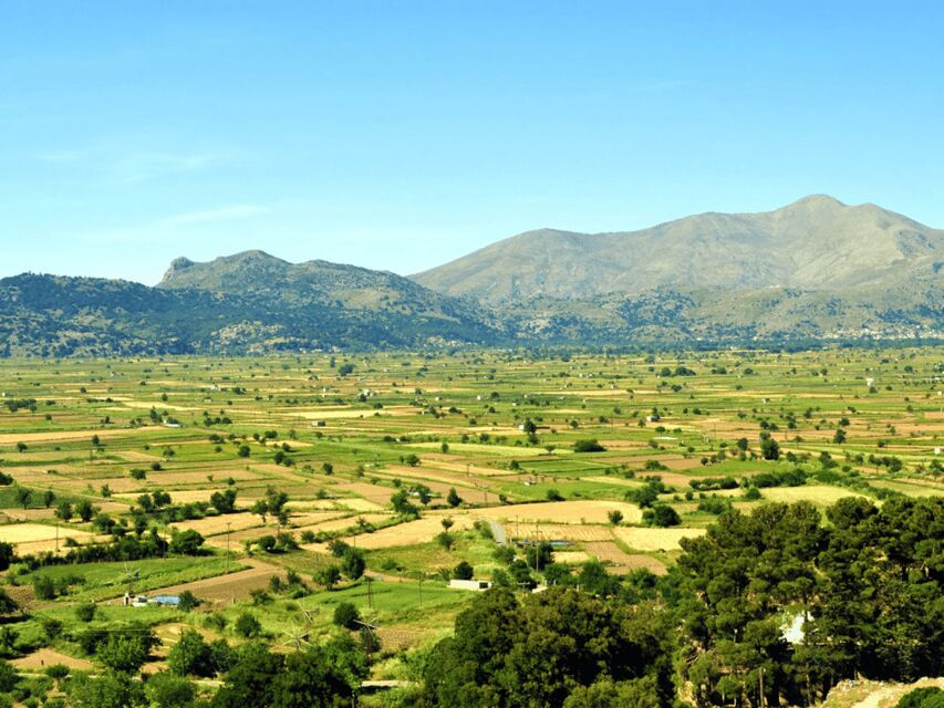 Knossos Palace &/or Zeus Cave + Olive Mill | Local & Private - Village stops, monastery time, pottery workshop, and lunch