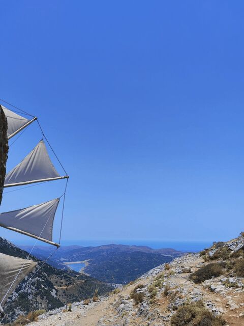 Knossos Palace &/or Zeus Cave + Olive Mill | Local & Private - Knossos Palace: where Minoan walls meet real storytelling