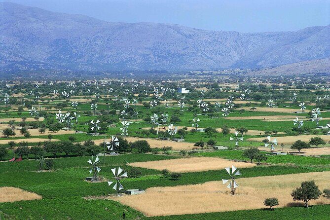 Lasithi - Zeus Cave -Olive Oil Factory - Traditional Villages - Key highlights at a glance