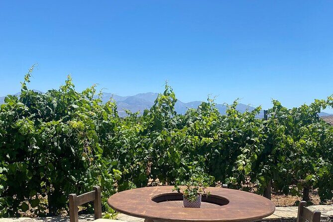 Minoan Crete: Knossos Palace, Winery Visit and Lunch at Archanes - Price and Value: What $195.07 Really Covers