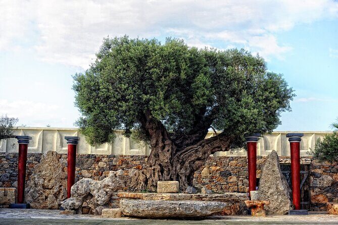Minoan Day Experience - A 3:00 PM Slot That Turns Into a Full Sensory Hour