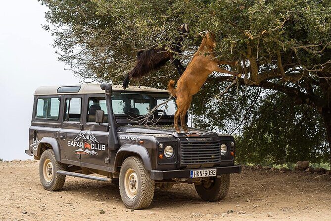 Mountains of Crete 4x4 Tour with Taverna Lunch - What the $112.95 price really buys you