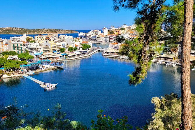 Olive Oil Cosmetic Factory- Spinalonga - Elounda - Agios Nikolaos - Vassilakis Estate olive tour: what you’ll learn and why it matters