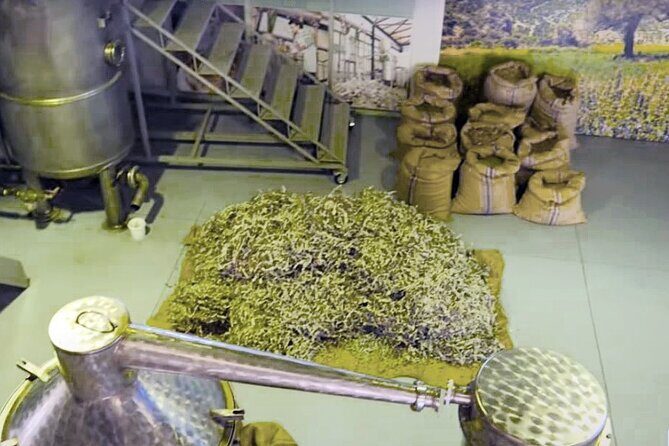 Olive Oil Cosmetic Factory- Spinalonga - Elounda - Agios Nikolaos - Getting picked up near Heraklion without turning the day into logistics
