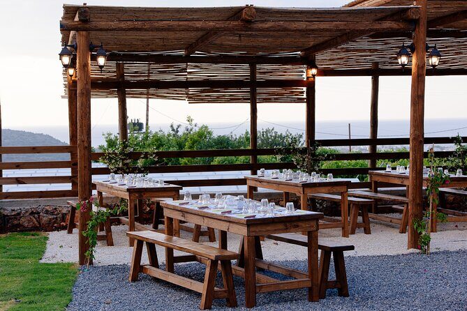 Olive Oil Festival in Cretan Farm with Traditional Dinner - Wine tasting in Crete: what’s included, what costs extra