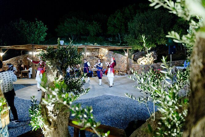 Olive Oil Festival in Cretan Farm with Traditional Dinner - Who should book this olive oil festival farm tour
