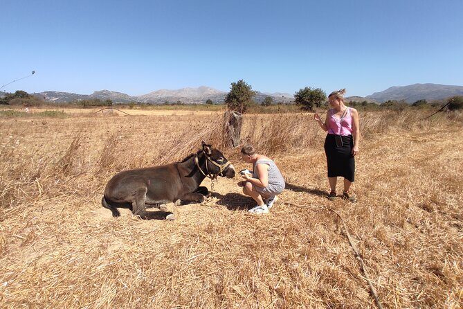 Private Jeep Tour - Zeus Cave - Cretan villages - Stop 4: Lasithi Plateau Windmills—From Thousands to Today’s Stones