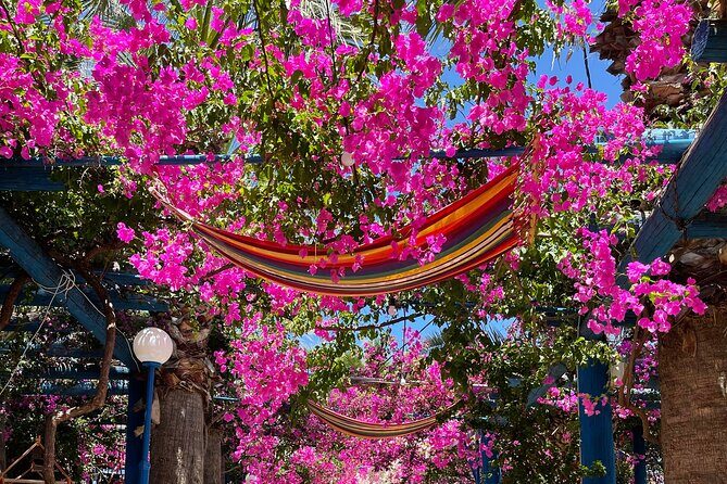 PRIVATE-South Crete-Matala Beach-Olive oil- Wine-Old Villages - Why This Private South Crete Day Feels Like Local Time