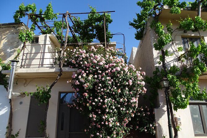 Private Tour-Authentic Villages of Lasithi Olive Oil and Wine - Psychro pottery time: clay work with guidance (not a showroom stop)