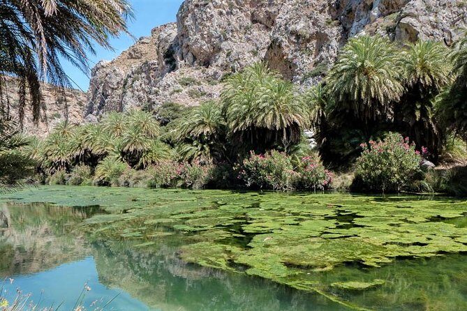 Private Tour Rethymno: Spili, Preveli, Kourtaliotiko, Old Town - Damnoni Beach: Golden Sand, Easy Water Access, and Nearby Taverns