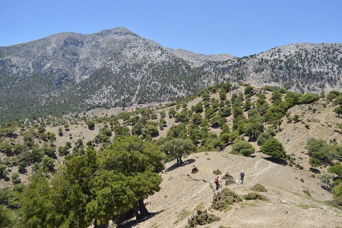 Private Trekking Rouvas Gorge - Key Highlights You’ll Care About