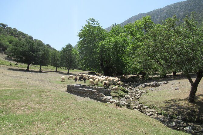Private Trekking Rouvas Gorge - Hotel Pickup in Luxury 4WD: Why This Matters for a Gorge Hike