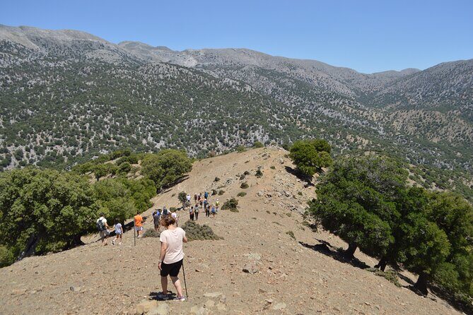 Private Trekking Rouvas Gorge - Walking the River Bed in Agios Nikolaos: Waterfalls, Ponds, and Cool Air