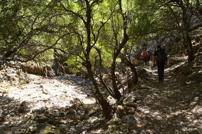 Private Trekking Rouvas Gorge - Trekking Gear and Snack Pack: What’s Included and What You Should Bring