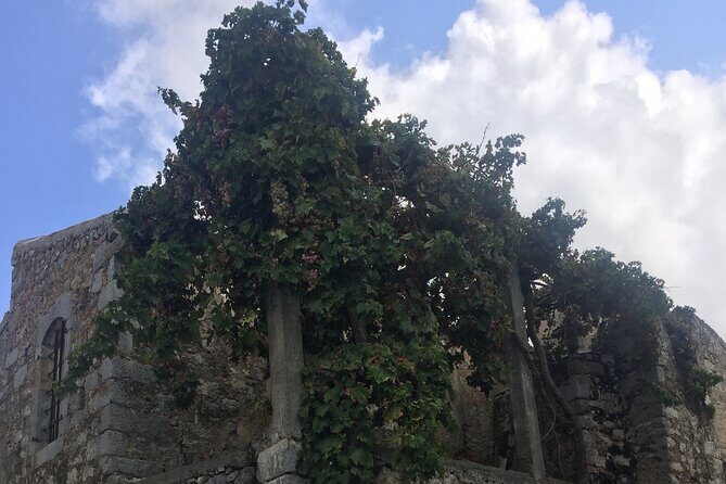 PRIVATE-Winery+Olive Oil Factory-Old Villages-Old Wind Mills - Mountain Driving Through Olive Groves and Vineyards (Plus Wine)