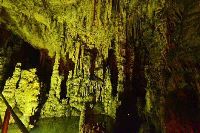 Road-trip to Lasithi, Zeus Cave, Vidiani, Krasi & Olive Mill Farm - Lyrakis Family Olive Mill Farm: Product Tour, Views, and Lunch Reality