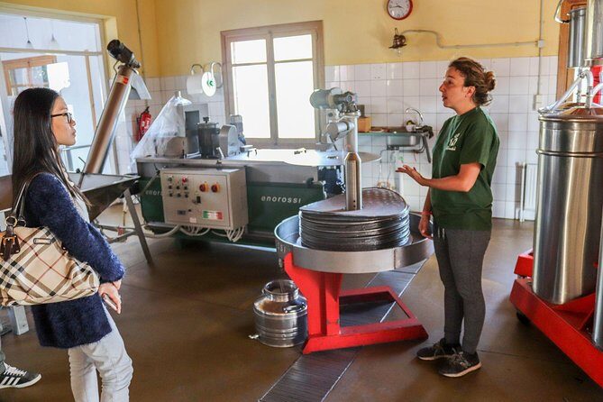Semi Private Wine, Olive Oil, and Terroir Tour of Heraklion area with Tastings - Key highlights worth planning for