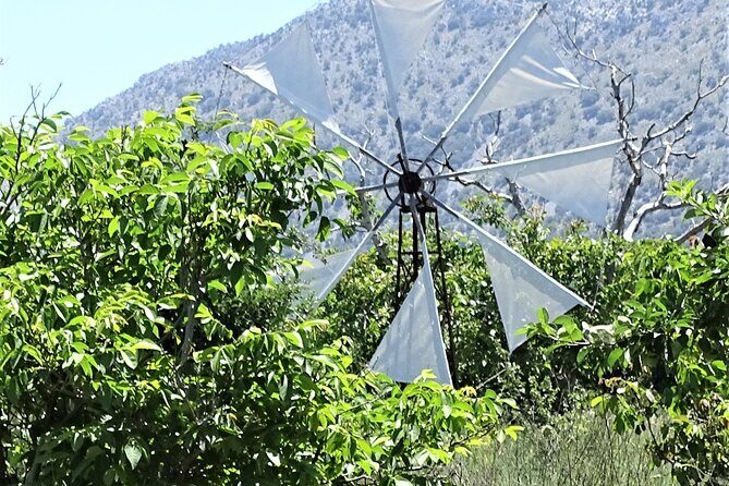 Small Group Tour to Knossos Palace Lasithi Plateau & Olive Mill - Omalia Olive Press: olive oil tasting that actually teaches