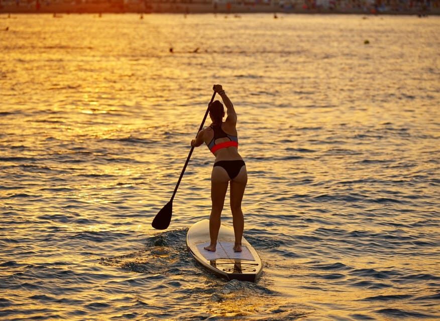 SUP Safari - Catamaran Cruise Dia Island & Gourmet Delights! - The SUP Safari: certified coaching and real confidence