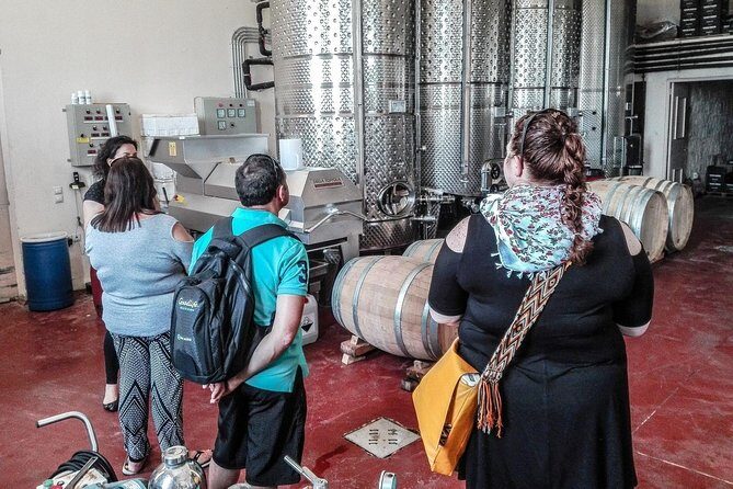 The Gourmet Wine Tour of Heraklion area - What makes this tour good value for $199.12