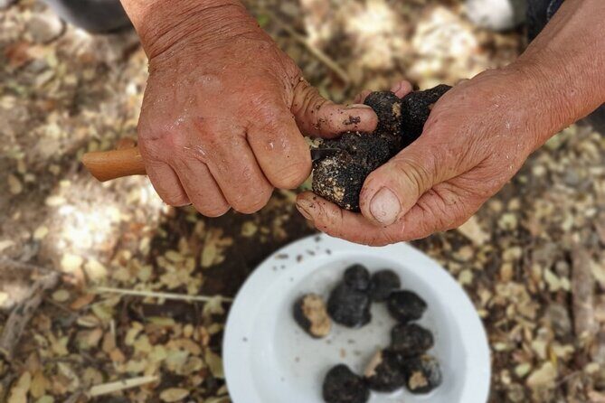 Truffle Hunting, Culinary & Wine Celebration from Heraklion - Dikteon Cave (Cave of Zeus) plus pottery and Panagia Kera Kardiotissa