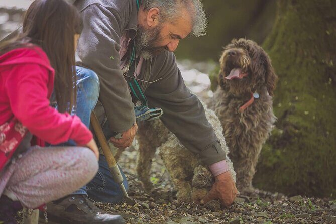 Truffle Hunting, Culinary & Wine Celebration from Heraklion - Price and value: how to judge if this is worth it