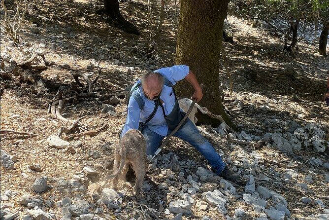 Truffle Hunting, Culinary & Wine Celebration from Heraklion - Who should book this truffle and wine day trip