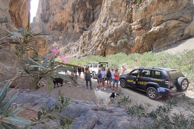 Trypiti beach and gorge Jeep Safari - Lunch at Agisilaos–Stella Taverna: BBQ, wine, and a break in the olive forest