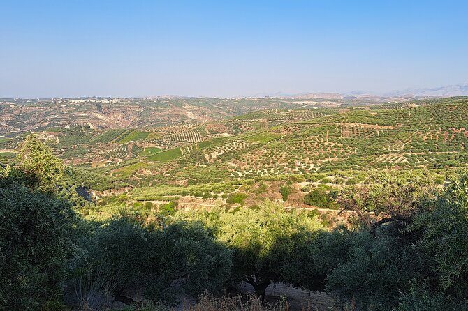 Wine Raki Olive Oil Tasting and Pottery - Private Tour - Stop 1: Gouves Olive Oil Factory and Extra-Virgin Tasting