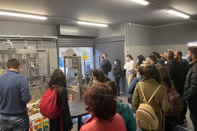 Wine Raki Olive Oil Tasting and Pottery - Private Tour - Pickup and Route Reality in Heraklion