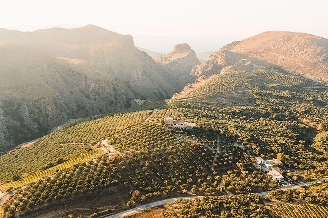Your Tailored Elafonisi Escape. Luxury Day Tour from Heraklion. - Chania Village Taverna Help Without Forcing a Set Meal